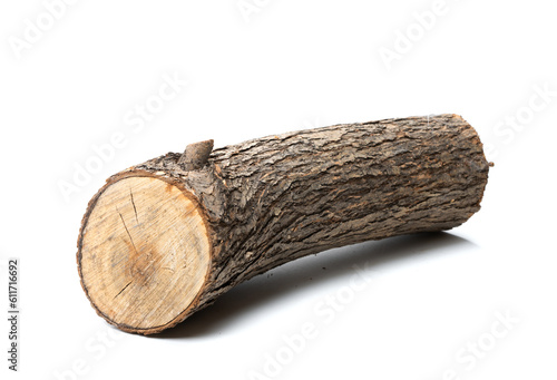 Willow log isolated over white background photo