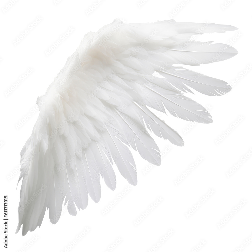 Naklejka premium white feather isolated on transparent background cutout