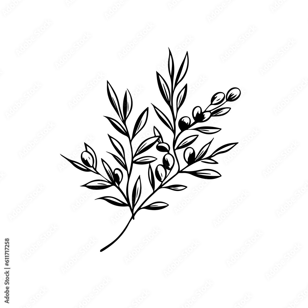Naklejka premium Olive branch line art vintage illustration for your design