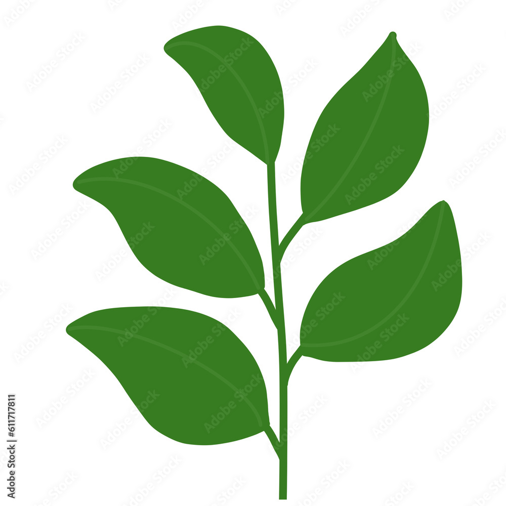 bright green leaves in summer bright green leaves in summer