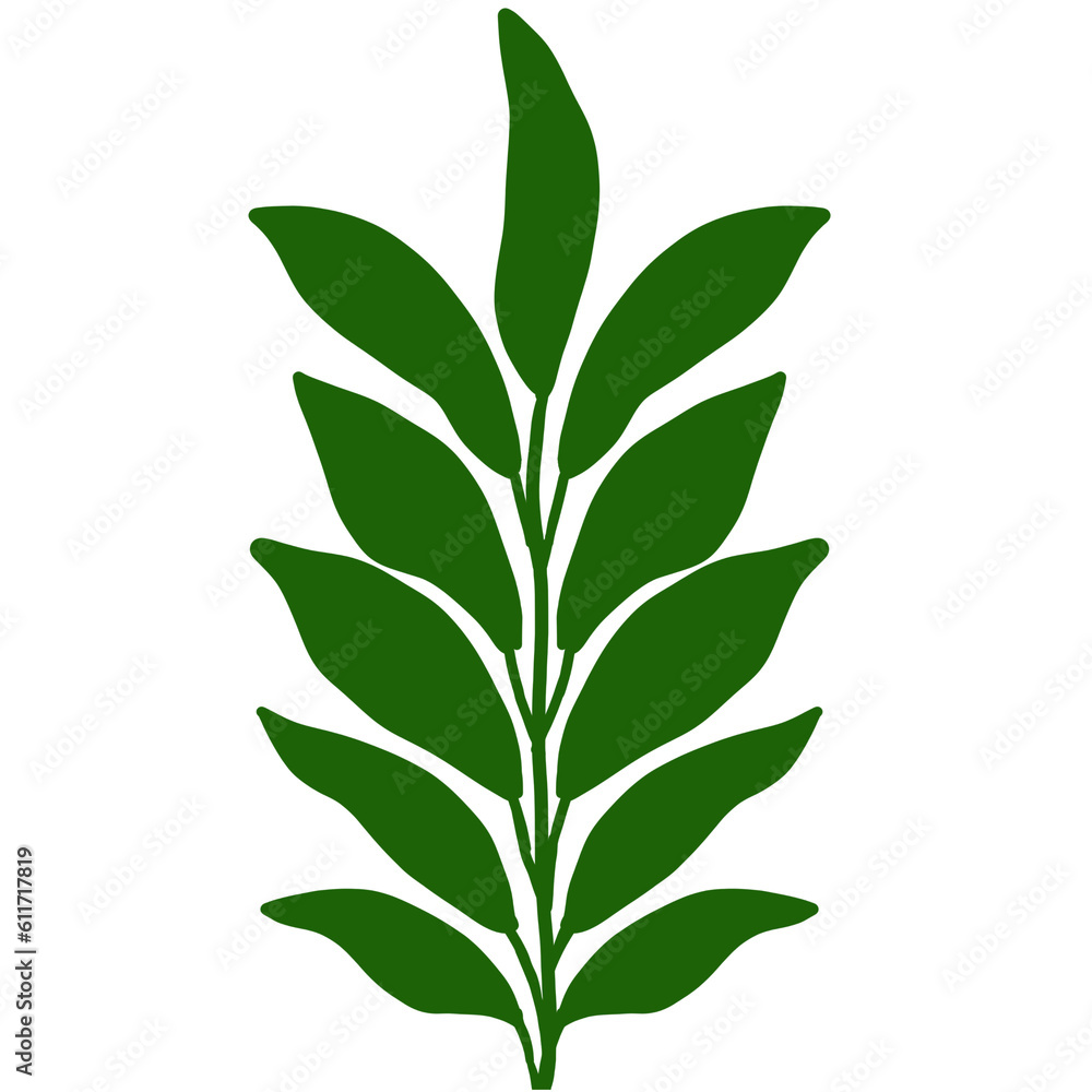 bright green leaves in summer bright green leaves in summer