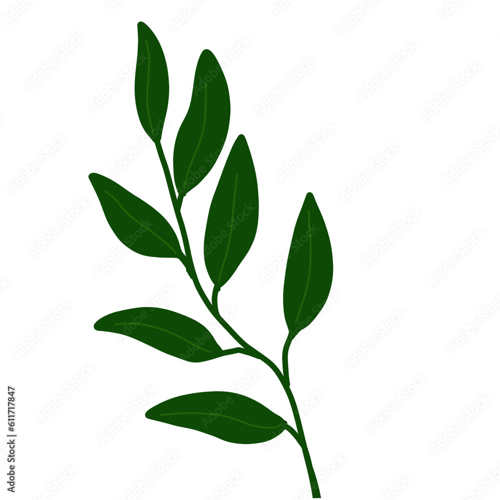 bright green leaves in summer bright green leaves in summer