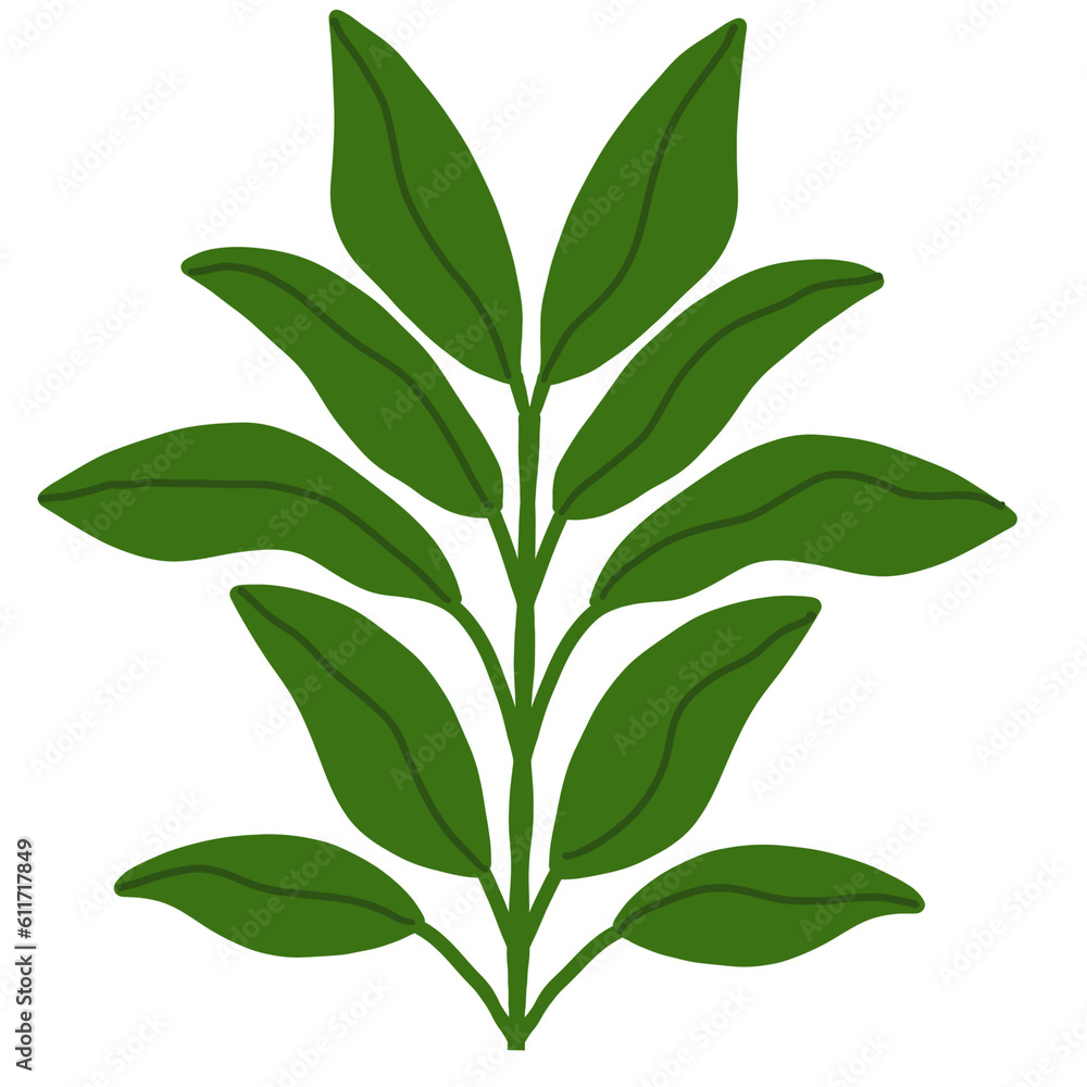 bright green leaves in summer bright green leaves in summer