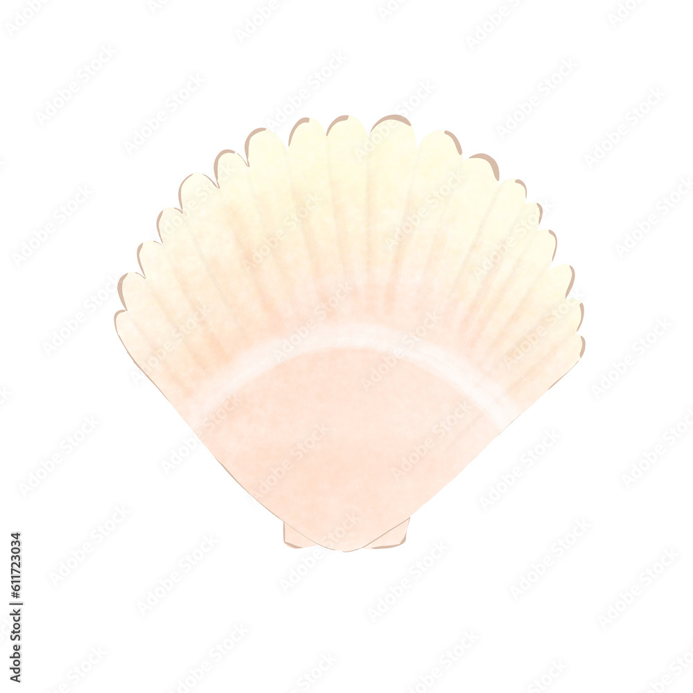 Fototapeta premium shelfish