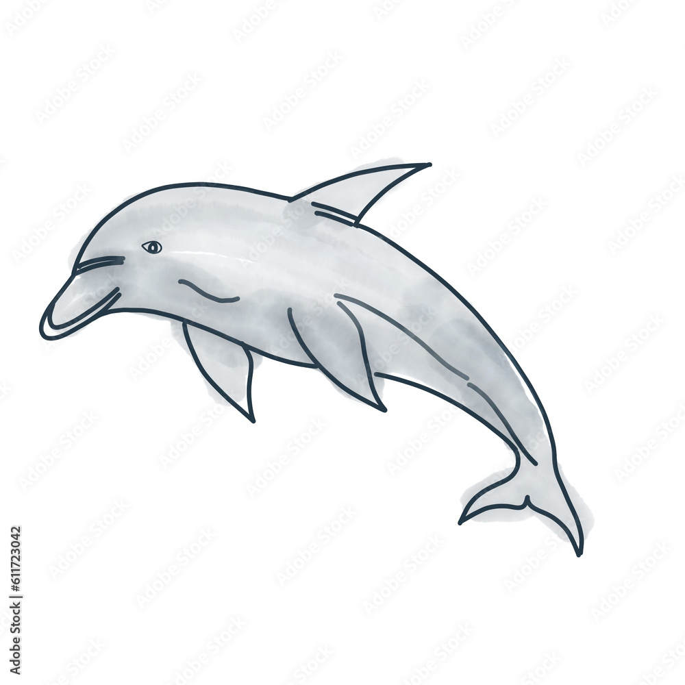 dolphin dolphin