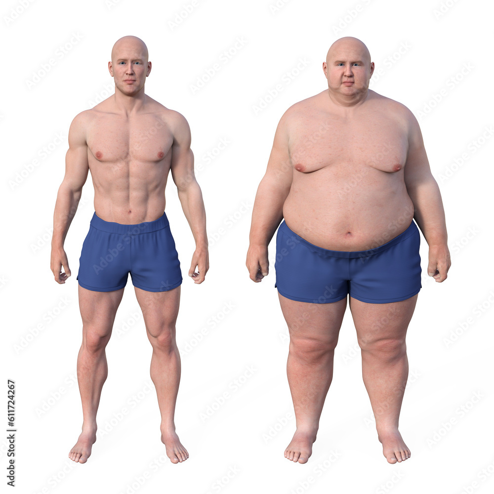 A normal weight man and the same man in an overweight condition, highlighting the anatomical and physiological differences, 3D illustration A normal weight man and the same man in an overweight condition, highlighting the anatomical and physiological differences, 3D illustration