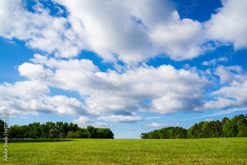 Beautiful sky over a vast green meadow in a park. Summer is ideal for cold weather countries. People prefer to spend their time outside, exercising and enjoying the nice weather.