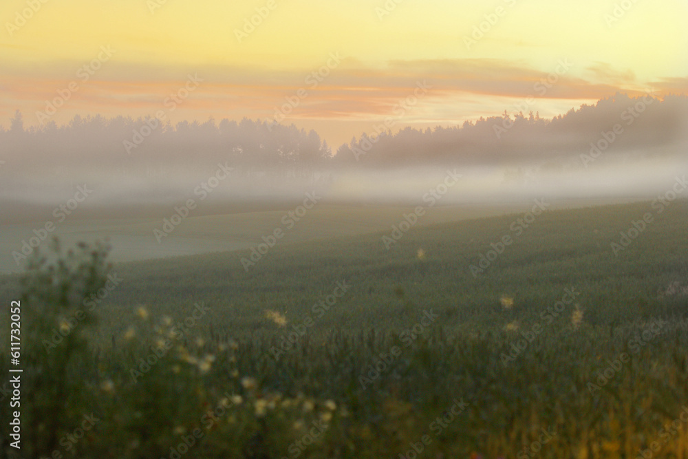 Misty morning over fields with yellow sky