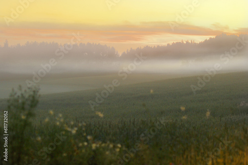 Misty morning over fields with yellow sky