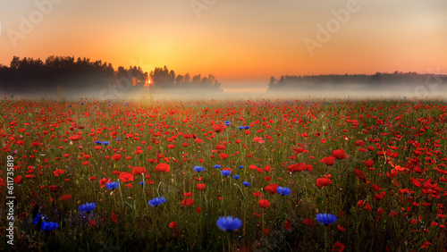 A misty sunrise on a poppy field, Denmark