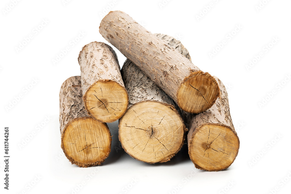 Several cut willow logs isolated over white background Several cut willow logs isolated over white background
