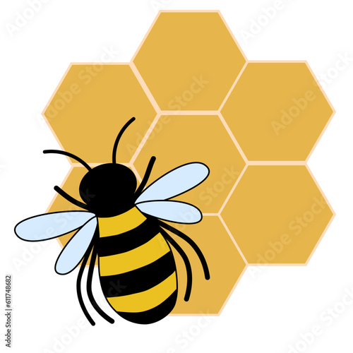 Vector drawn carttoon doddle striped honey bee on yellow hexagon honeycombs.Cute cartoon character.
