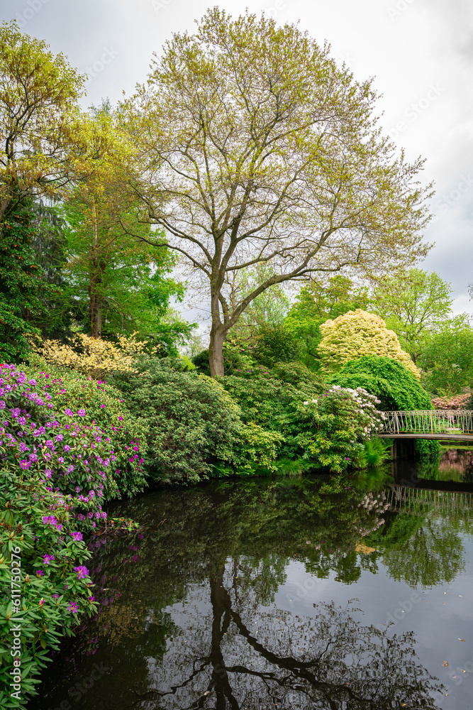 Scenic view of a bridge and flowering Rhododendron along the water in a botanical garden