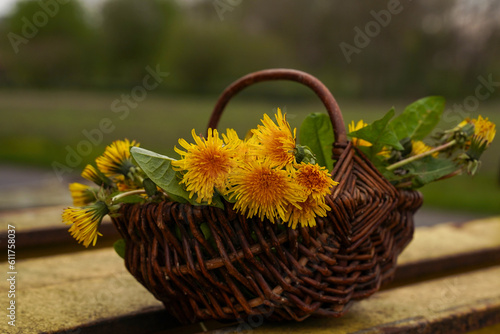 Basket full of dandelion flowers close-up.