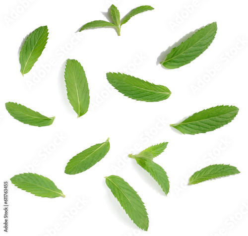 Green mint leaf on white isolated background, close up © nndanko