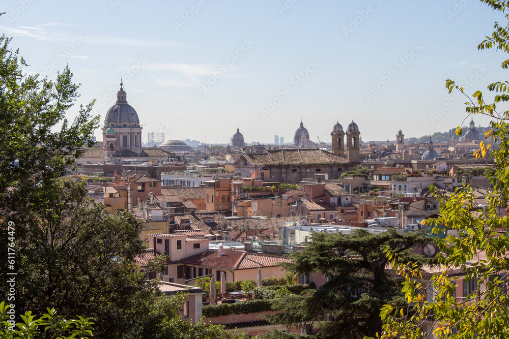 Rome panoramic view of the city. Basilica. Background.