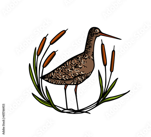 Vector card with hand drawn sweet Spotted redshank in graceful cattail wreath. Ink drawing, decorative graphic style. Beautiful animal or hunting club design elements, perfect for logo design
