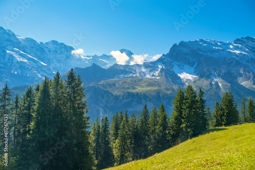 Idyllic summer landscape in the Alps with fresh green meadows and snowcapped mountain tops in the background. Switzerland