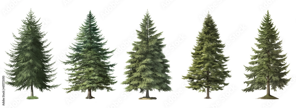 Set of christmas trees, Green trees vector isolated on the white background