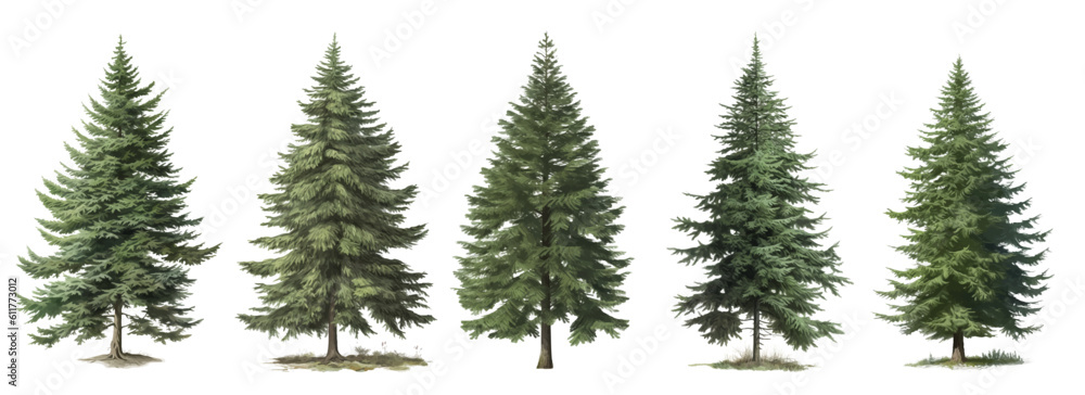 Set of green trees isolated on the white background, christmas trees vector