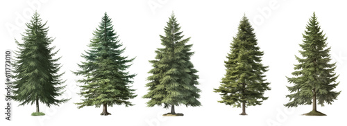 Set of christmas trees, Green trees vector isolated on the white background
