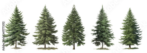 Tela Set of green trees isolated on the white background, christmas trees vector