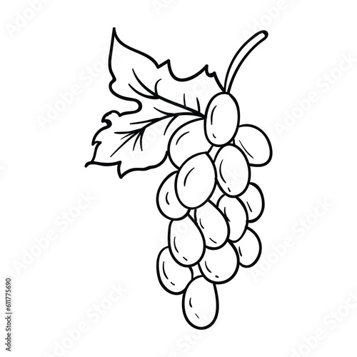 Grapes vector. it is suitable for fruit icon, sign or symbol.