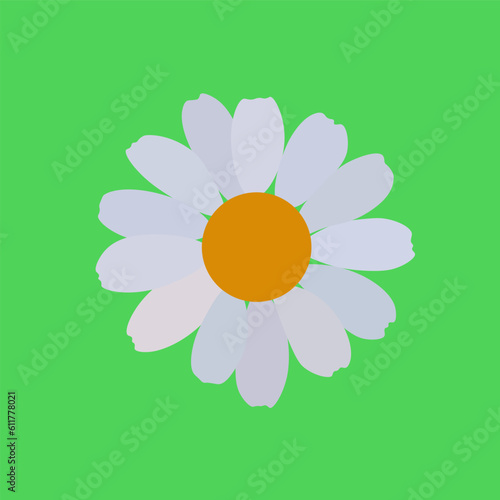 Chamomile flower vector clipart illustration