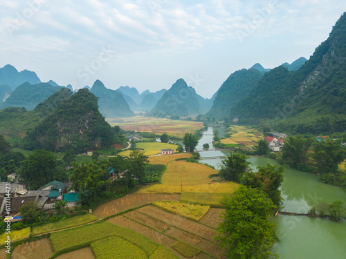 Aerial top view of fresh paddy rice terraces  green agricultural fields in countryside or rural area of Cao Bang  mountain hills valley in Asia  Vietnam  China border. Nature landscape background.