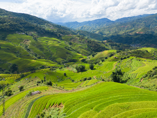 Aerial top view of fresh paddy rice terraces, green agricultural fields in countryside or rural area of Mu Cang Chai, mountain hills valley in Asia, Vietnam. Nature landscape background. © tampatra