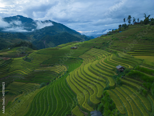 Aerial top view of fresh paddy rice terraces, green agricultural fields in countryside or rural area of Mu Cang Chai, mountain hills valley in Asia, Vietnam. Nature landscape background.