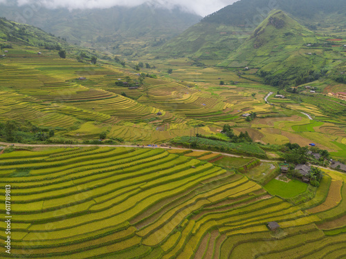 Aerial top view of fresh paddy rice terraces  green agricultural fields in countryside or rural area of Mu Cang Chai  mountain hills valley in Asia  Vietnam. Nature landscape background.