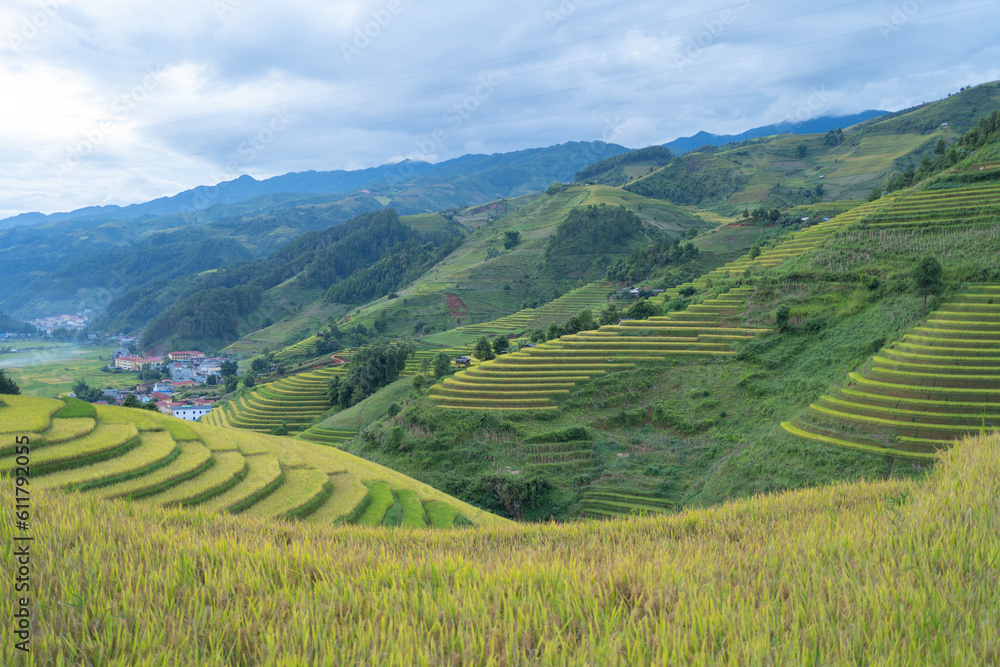 Fototapeta premium Aerial top view of fresh paddy rice terraces, green agricultural fields in countryside or rural area of Mu Cang Chai, mountain hills valley in Asia, Vietnam. Nature landscape background.