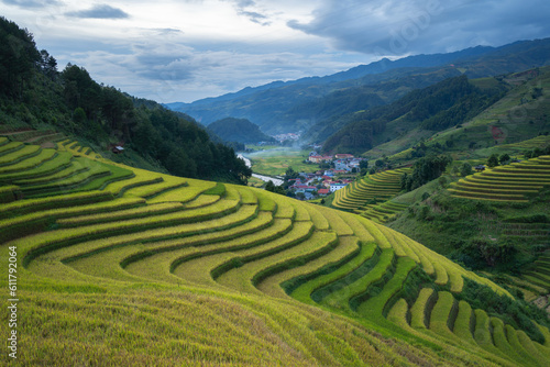 Aerial top view of fresh paddy rice terraces, green agricultural fields in countryside or rural area of Mu Cang Chai, mountain hills valley in Asia, Vietnam. Nature landscape background.