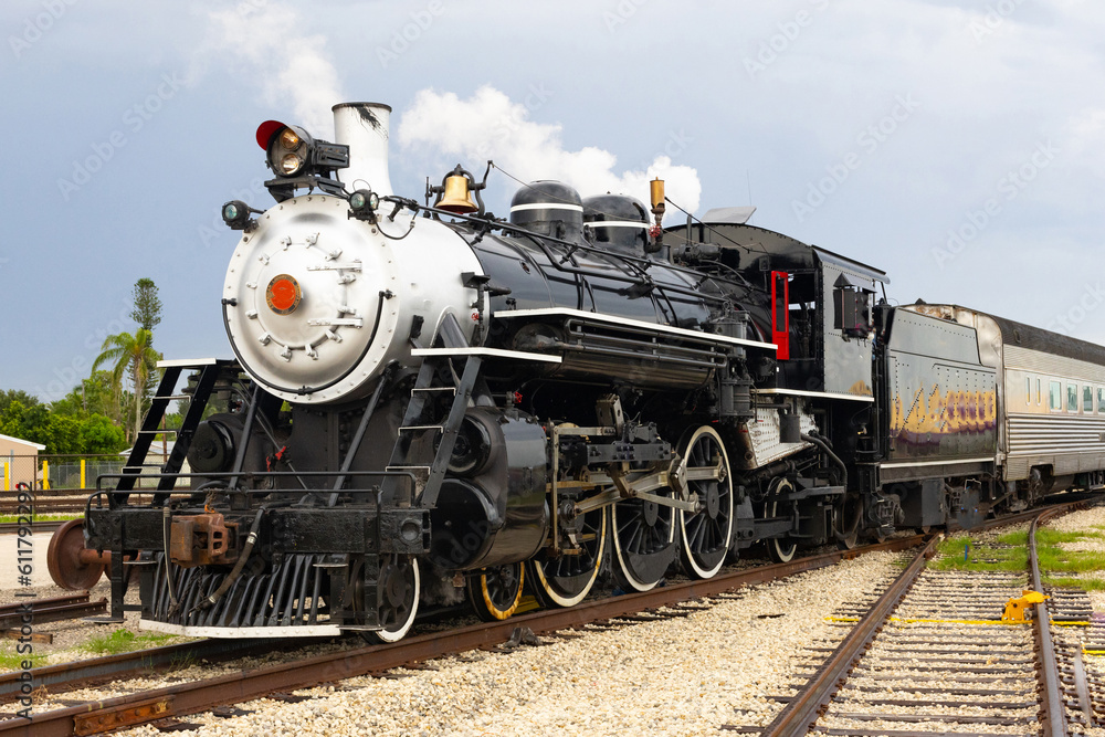 Steam train portrait
