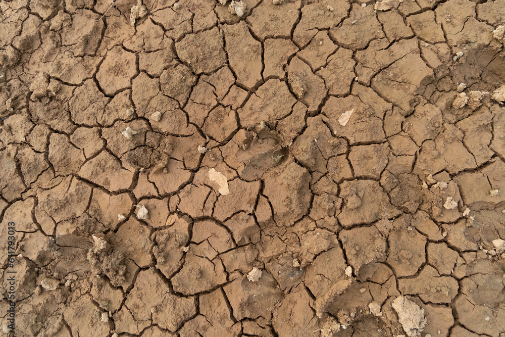 Fototapeta premium Dry ground rough cracks in the land with sand in paddy rice field. serious water shortages and Drought barren arid pattern texture background.
