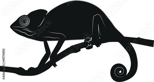 Silhouette of chameleon on the branch, isolated on white background.