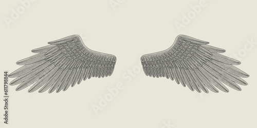 angel wings  or bird set, Vintage engraving drawing style illustration