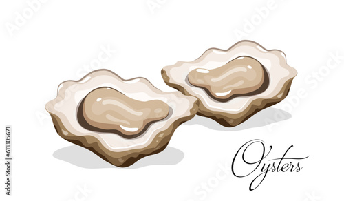 Oysters isolated on a white background and calligraphic text
