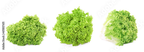 Collage with fresh lettuce on white background
