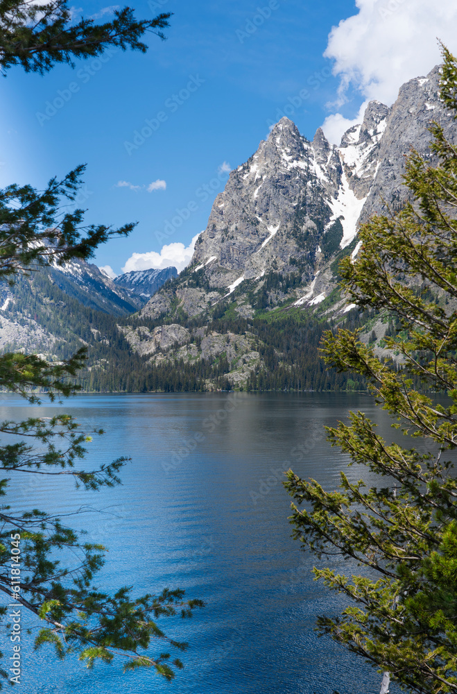 Jenny Lake in Grand Teton National Park reflects snow capped mountains. Pine trees frame the photo. The sky is blue with white clouds. It is springtime in Wyoming.
