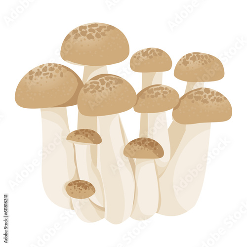 Shimeji Buna-Shimeji Mushroom Vector Illustration