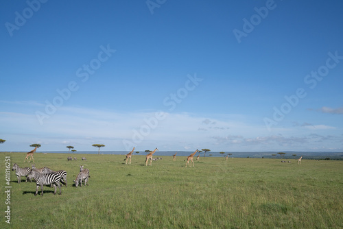  Kenya Giraffe earth theater