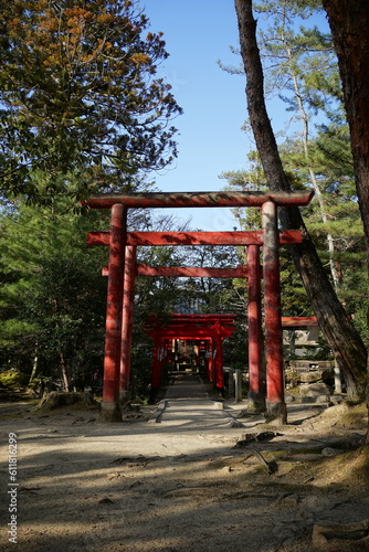 Torii of Shiroyama Inari Jinja or Shrine at Ueno Park in Iga  Mie  Japan -                                                                             
