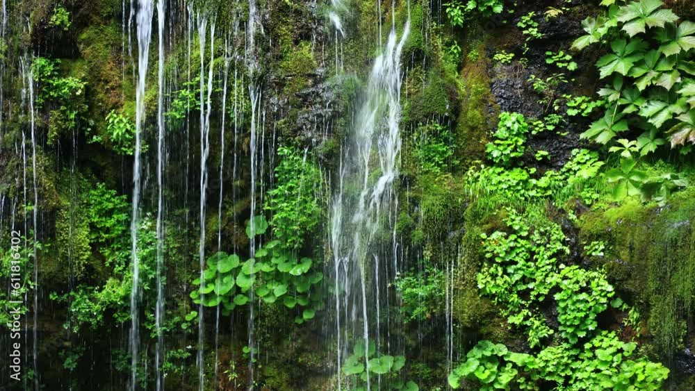 waterfall and green moss on the rocks waterfall and green moss on the rocks