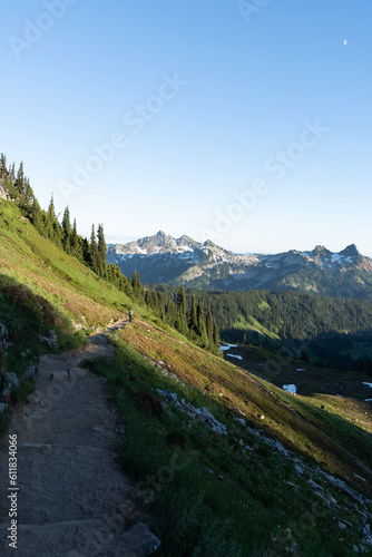 sawtooth mountain landscape in the summer