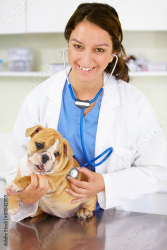 Portrait, happy doctor or dog at vet clinic for animal healthcare checkup in nursing consultation with stethoscope. Inspection, nurse or sick bulldog pet or puppy get exam or medical test for help