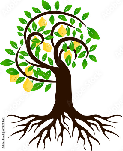 citrus tree illustration isolated on white. fresh fruits hanging on the trees