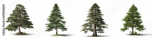 Collection of pine tree isolated on white background, Generative AI