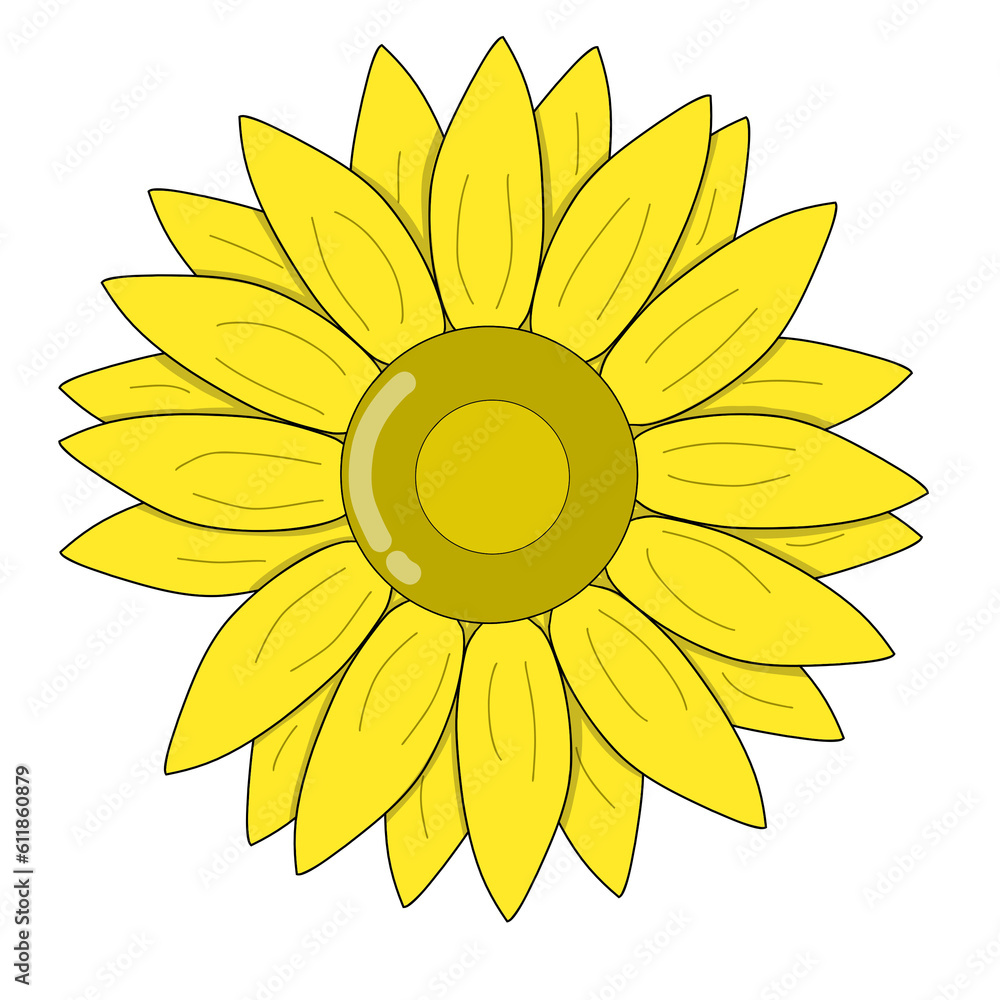 Fototapeta premium sunflower isolated on white background